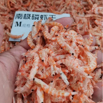 Wholesale Frozen Antarctic Krill Freeze-Dried Shrimp Skin Frozen Shrimp Seafood High Calcium for Feed Ornamental Fish