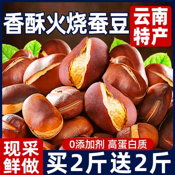 Fire Broad Beans Yunnan New Fried Original Special Products Crispy Green Heart Broad Beans Sub-category Food Snacks Wholesale