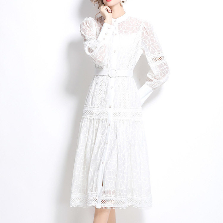 Vintage Embroidered Lantern Sleeve Dress Spring Collection Waist Cinching A Line Button Closure Elegant Occasion