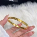 Gold-Fish Scale Bracelet