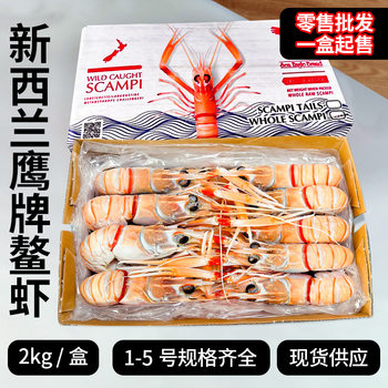 Eagle Brand New Zealand Crayfish Imported Sashimi Siganbi 2kg Crayfish Seafood Frozen Spot Restaurant Batch Crayfish