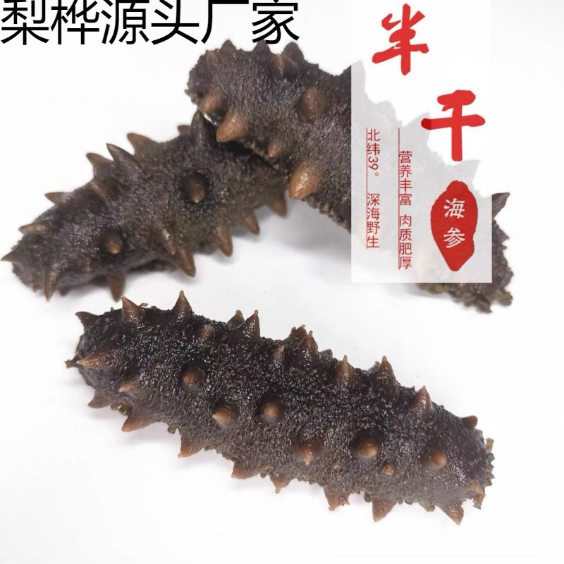 Dalian Semi-Dried Sea Cucumber Salted Sea Cucumber Semi-Dried Jar Salted Sea Cucumber 40-80 Heads Shipped from the Original Place of Production