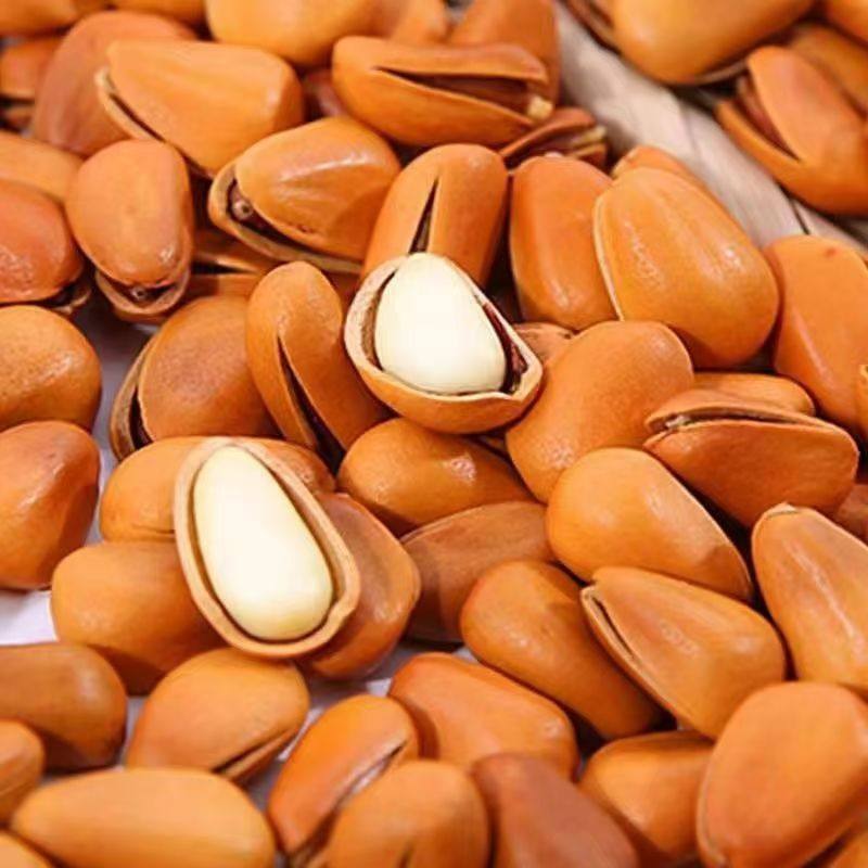 [Changbai Mountain Red Pine Nuts]2025 New Crop Open-Shell Northeast Pine Nuts 500g with Packaging Nuts Pine Seeds Red Pine