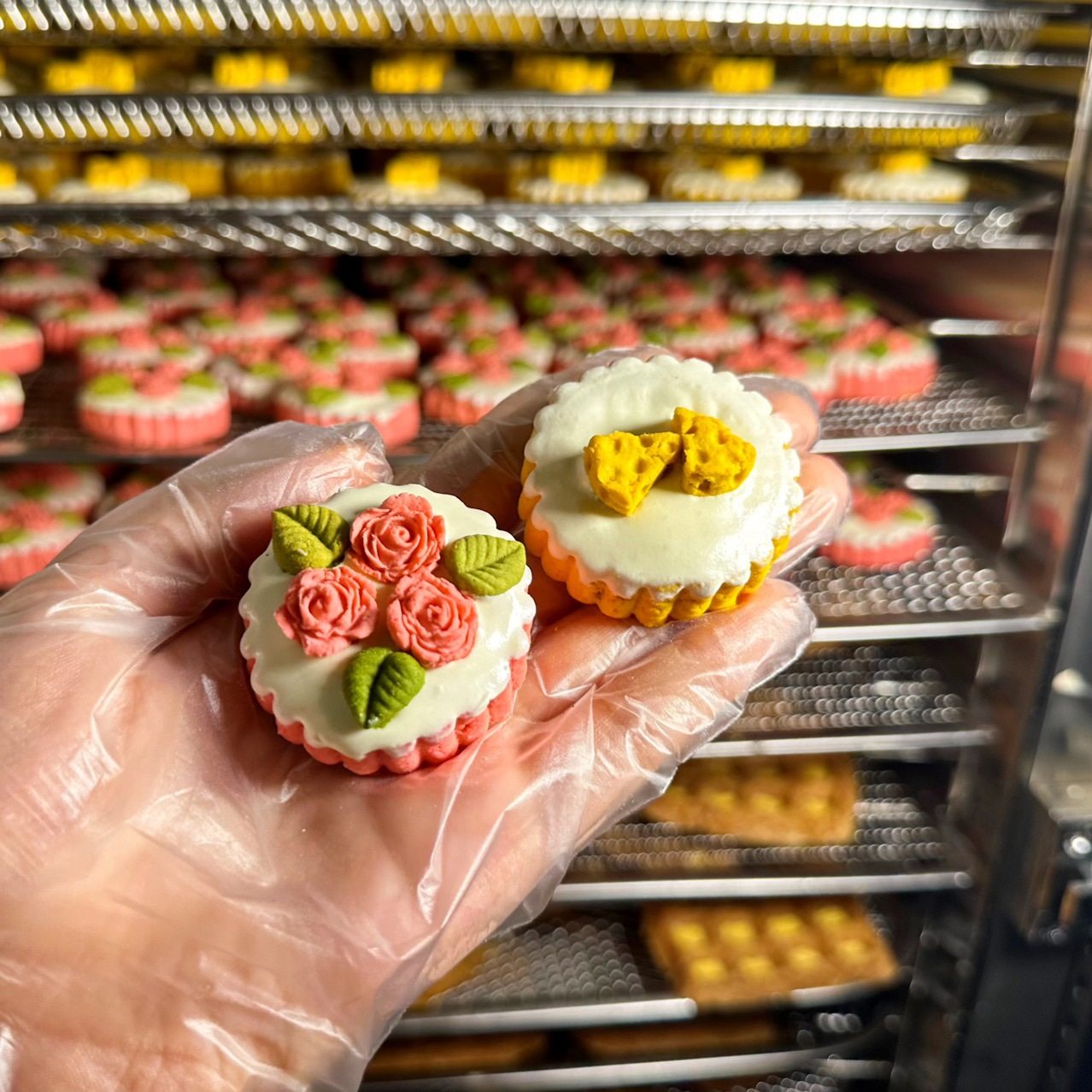 Small Pet Birthday Cake, Handmade Pet Snacks, Universal Teething Biscuits for Cats and Dogs, Decorative Food, Wholesale Dog Food for Dogs