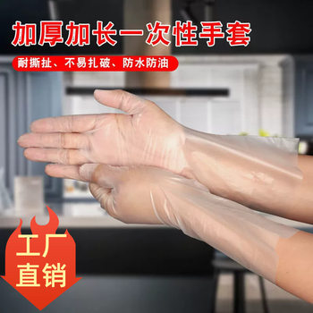 Plastic Thickeneded Tpe Disposable Gloves Boxed Protective Gloves for Cleaning Kitchen Beauty Salon Hand Care