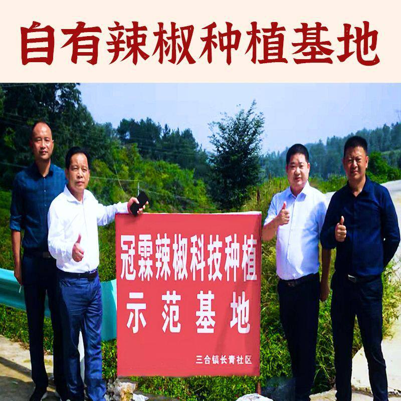 Guizhou specialty bean drum garlic paste chili cake Guizhou paste chili pepper noodles dipped in water farm food commercial