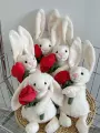 18cm hugging love bunny
