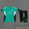 2526 short sleeves★Pu green