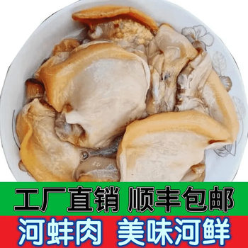 Fresh River Clam Meat, Freshly Killed and Shelled River Clam Meat, Freshwater River Commercial Wholesale Sf