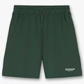 net hole shorts green