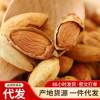 New Almond Thin-skinned Nuts Milk-flavored Large Particle Bags Dried Fruits New Year Milk-flavored Almond Almond Kernel