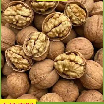 185 Paper-Skinned Walnuts 2025 New Crop Pecans Xinjiang Aksu Thin-Skinned Roasted Original Flavor Hand-Peeled Ripe