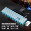 L1 wired white - ice blue light + t6 wired white mouse