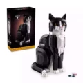 Tuxedo cat