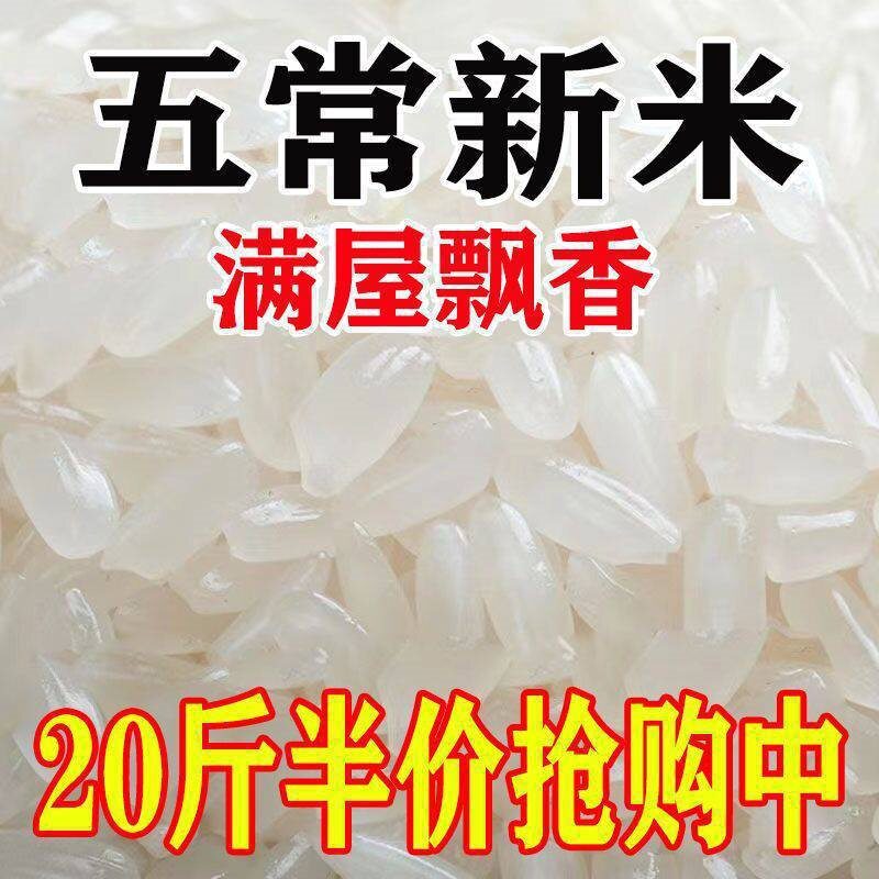 【New Rice】Authentic Wuchang Rice Fragrant Long Grain Rice 3 Pounds 5kg 10kg Direct Sale from Manufacturer Rice Trend