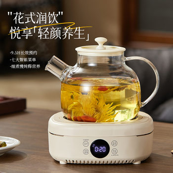 New multi-functional household intelligent electric ceramic stove tea indoor glass tea maker small tea stove kettle scented tea