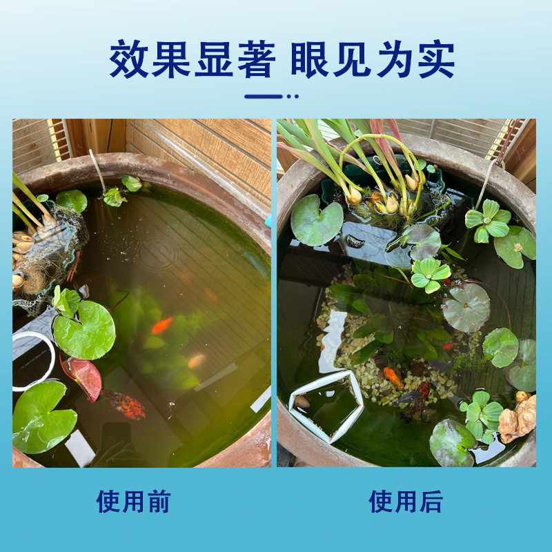 Zaichong Electrolytically Active Biological Enzyme Aquarium Fish Tank Water Purifier Algaecide Koi Fish Pond Aquatic Nitrifying Bacteria