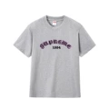 20 gray
