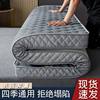 Mattress Soft Cushion Thickened Household Sleeping Mat Memory Foam Mat Tatami Mat Single Dormitory Mattress Quilt