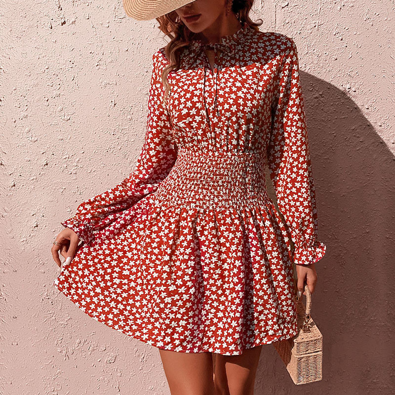Floral Print Long Sleeve Dress Elastic Waist Casual Style Spring and Autumn Wear Wholesale Available