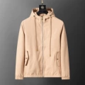 Apricot 56036