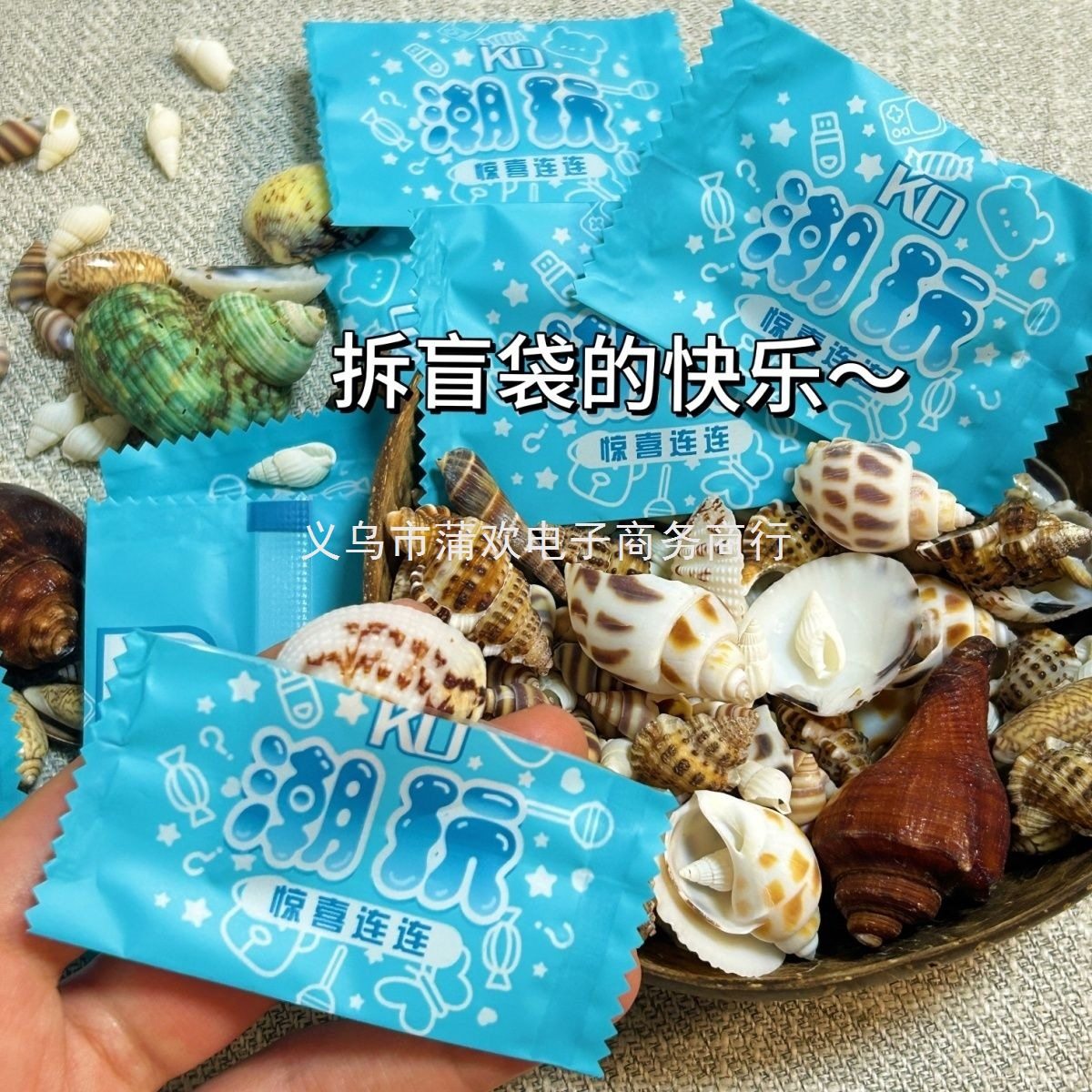 Kindergarten Small Prize Gift Conch Blind Bag Kidsren's Reward Natural Sea Shell DIY Decoration Pure Natural