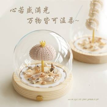 Sea Urchin Night Light Accessories Shell Night Light Accessories Sea Urchin Lamp Accessories Luminous Base Eternal Flower Glass Accessories