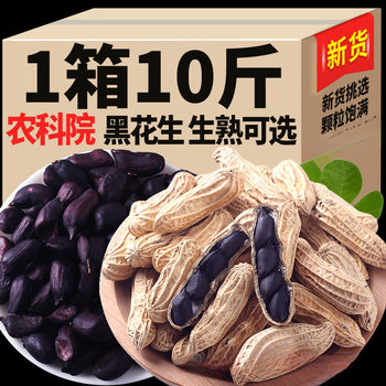 New Arrival from the Academy of Agricultural Sciences: Yunnan Black Peanuts with Shells, Selenium-Rich Black-Skinned Peanuts 2.5kg / 5kg Black Peanut Seeds