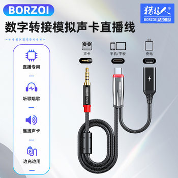 Type-C Full Range Otg Live Broadcast Line Digital Simulation Sound Card Live Line Game Karaoke Mobile Phone Audio Adapter Cable