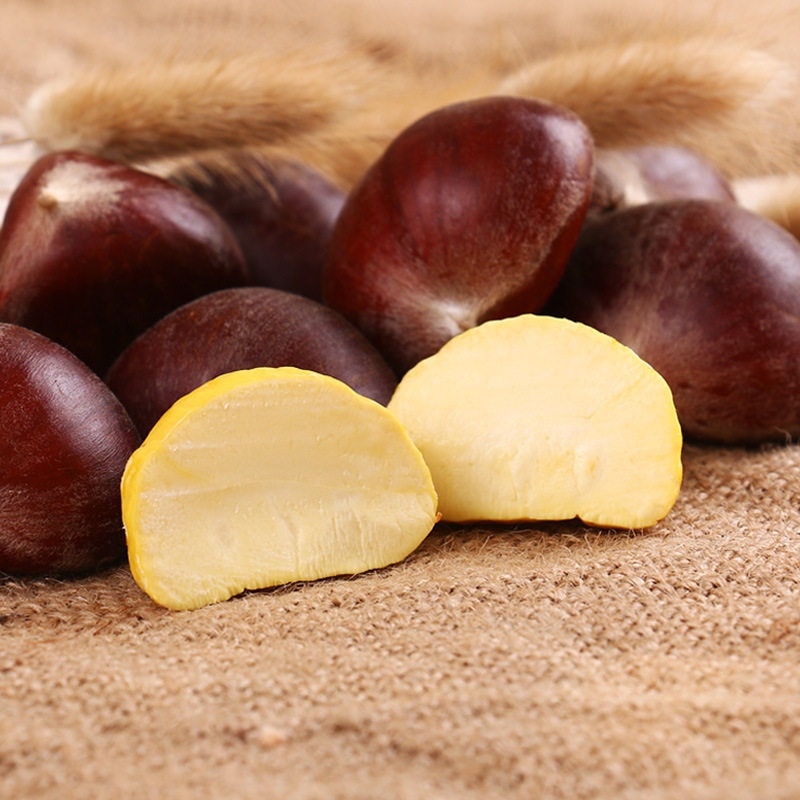 Authentic Dandong Chestnuts 2.5kg Whole Box New Arrival 0 Wholesale Free Shipping 1.5kg Northeast Specialty Fresh Alpine Farm Chestnuts