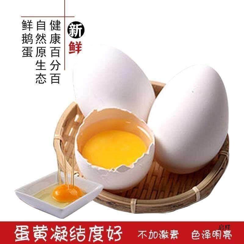 12 pieces of lion-headed goose fresh farmhouse free-range soil big goose egg pregnant women to fetal poison large 80-120g hair