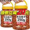 Extra Large Northeastern Pine Nuts with Large Particles, Hand-Peeled Brazilian 2024 New Arrival, Extra Pine Nuts Raw
