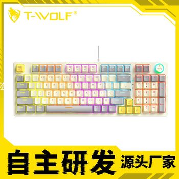 Lei Wolf T50 Wired Keyboard Game Rgb Luminous E-Sports Dedicated with Knob Customized Hot-Swappable Mechanical Keyboard