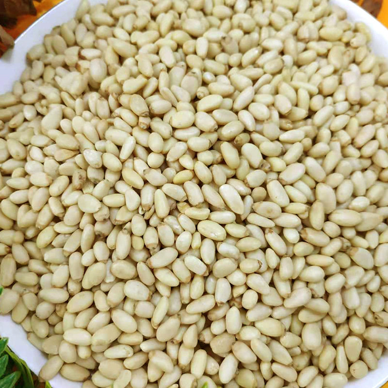 Pine Nuts Bulk Cake Baking Ingredients Peeled Nuts Daily Nuts Roasted Seeds and Nuts Wholesale Huashan Pine Nuts