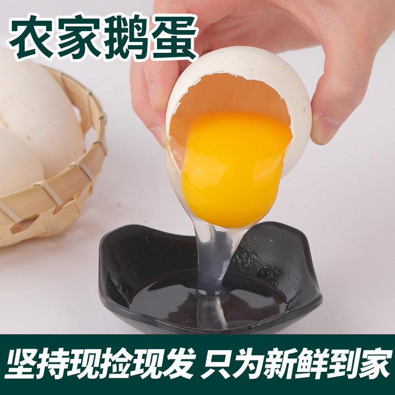 Sf Express Free Shipping Fresh Goose Eggs for Pregnant Women, Farm-Raised Free-Range Goose Eggs, Authentic Specialty, 12 Large Raw Goose Eggs, High-Quality Products
