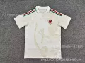 2026 wales away kit [fan edition]