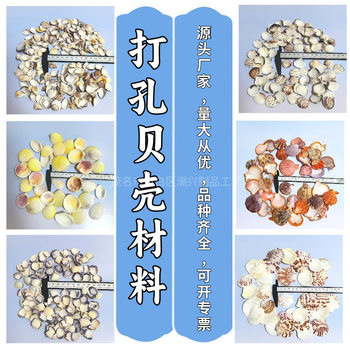 natural conch shell starfish fish tank landscaping hermit crab perforated children's handmade photo frame diy wind chime drift bottle