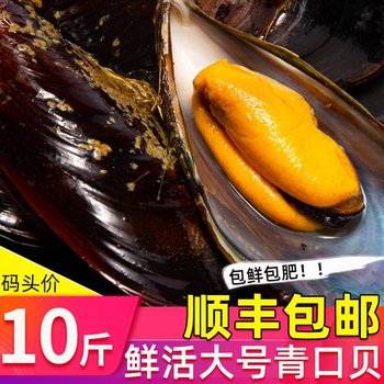 Fresh Mussels, Live Sea Snails, Fresh Packaged Seafood, Wild Mussels, Aquatic Products 5kg Sf Free Shipping