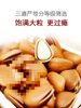 2024 New Northeast Open Red Pine Nuts Bulk Non-Extra Large Particles Small Package Original Wild Nuts