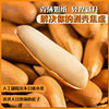 2024 New Product Hand-Peeled Brazilian Pine Nuts 500g Bulk Afghan Dried Fruits Roasted Nuts Snacks for Pregnant Women