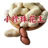 2.5kg Small Pearl Peanuts Fried Original Flavor Walnut Garlic Cooked Small Shelled Peanuts New Year Snacks One Piece Batch F Free Shipping