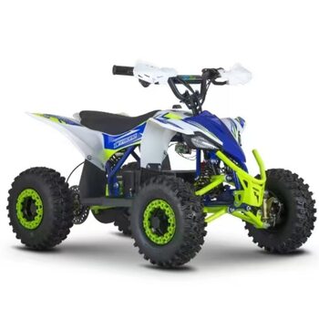Falcon new four-wheel electric motorcycle all-terrain off-road four-wheel motorcycle beach car little bull beach car