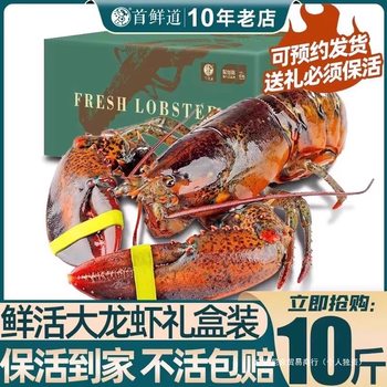 [Live] Boston Lobster Fresh Extra Large Lobster Lobster Gift Box Little Aolong Australian Lobster Seafood Gift Box