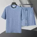 95253 sky blue