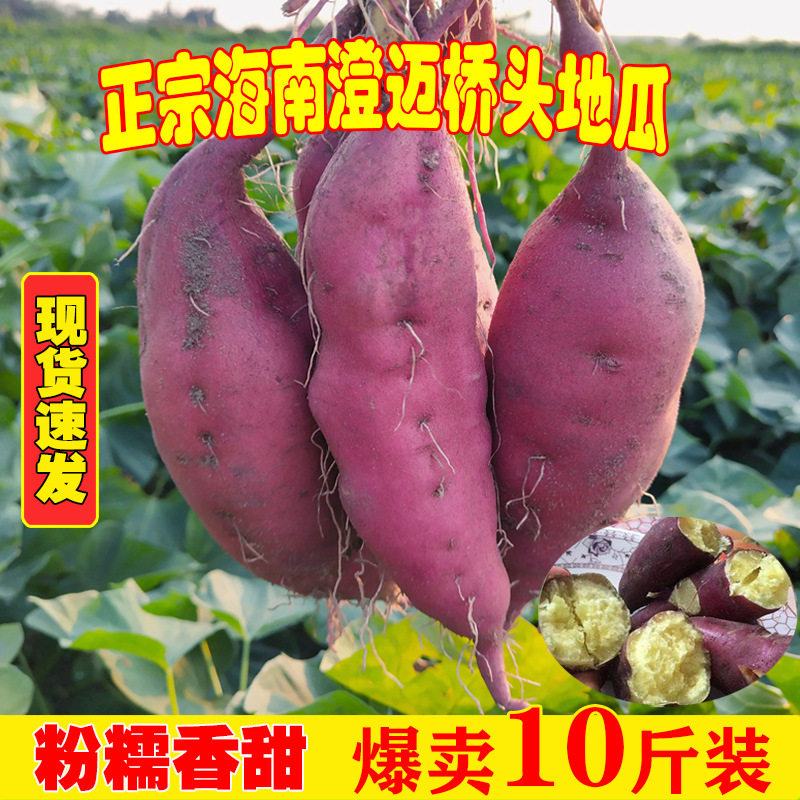 Hainan Chengmai Qiaotou Sweet Potato 3/5/ 4.5kg Fresh Sweet Potato Origin Freshly Released Sand Floor Chestnut Sweet Potato Drop Shipping
