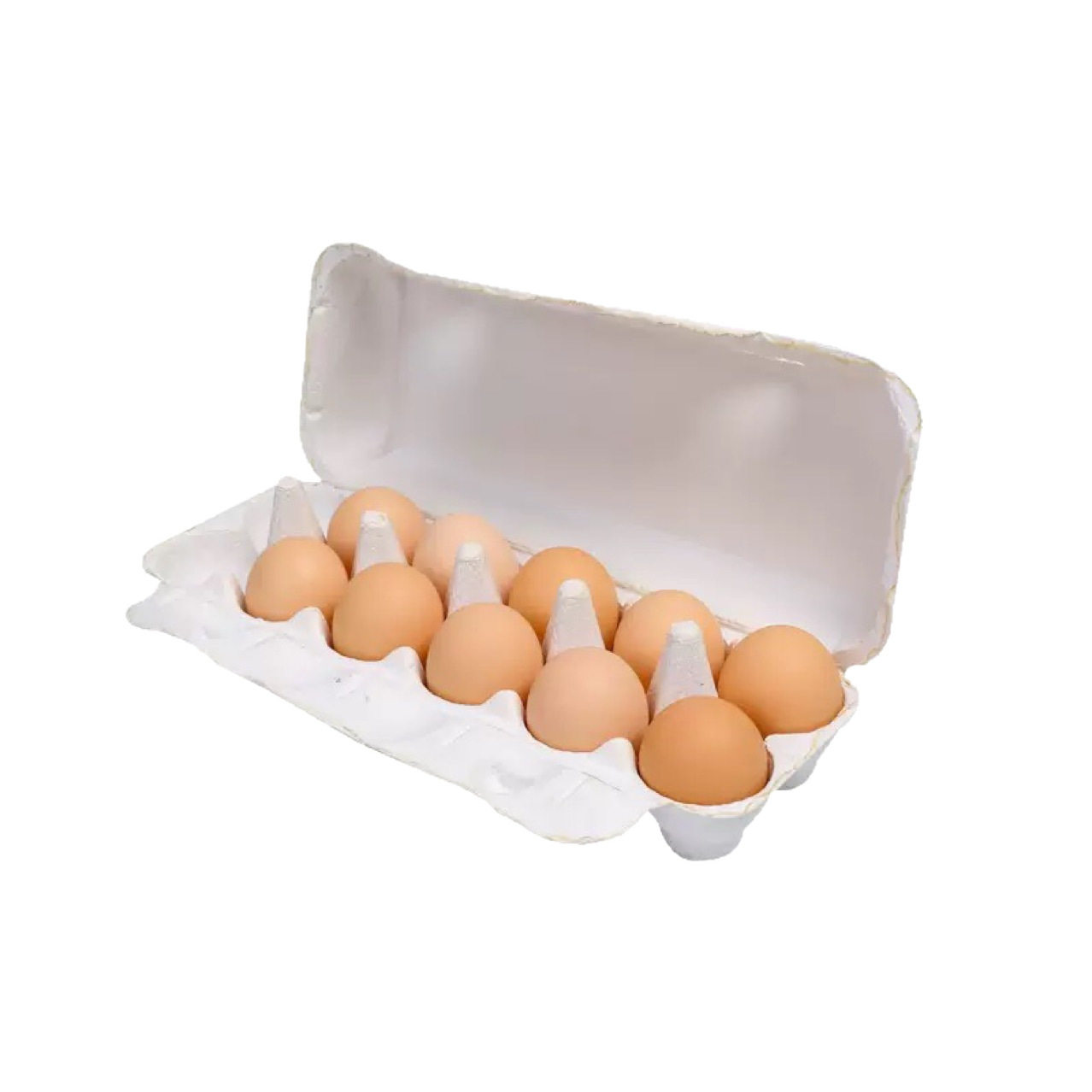 12-Pack White Pulp Egg Cartons, Pulp Egg Trays, Egg Packaging Pulp Trays