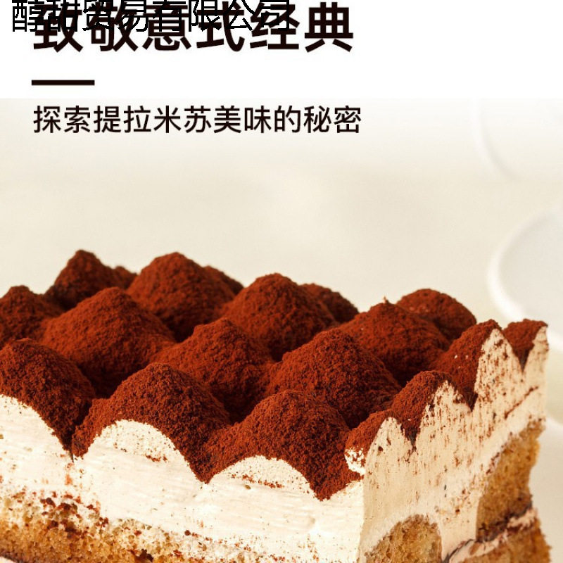 Mascarpone Cheese 500g Mascarpone Cream Tiramisu Cake Ingredients Wholesale