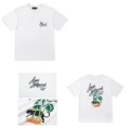 8051 white