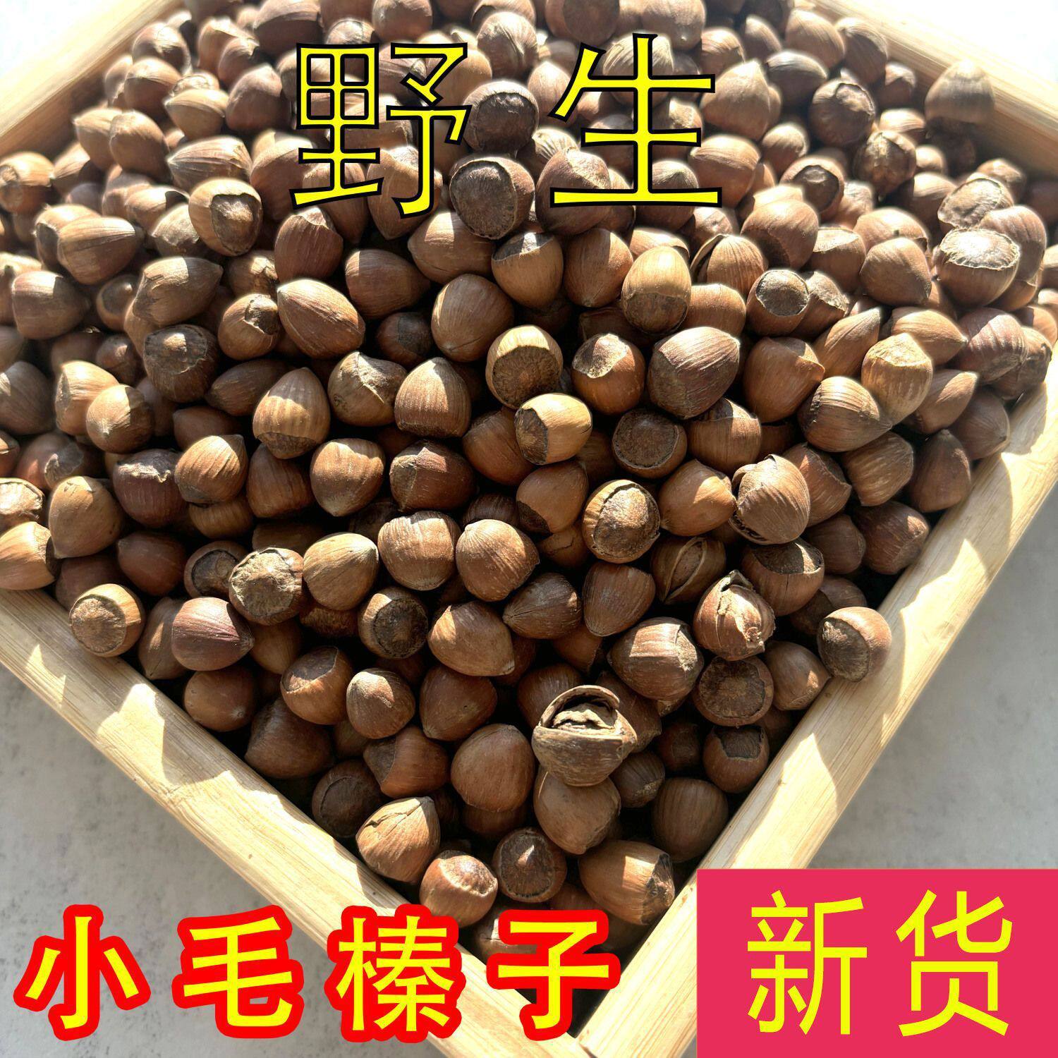 Specialty Small Hazelnuts 500g Fresh Original Flavor Roasted Snacks for Pregnant Women in Bags