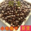 Specialty Small Hazelnuts 500g Fresh Original Flavor Roasted Snacks for Pregnant Women in Bags